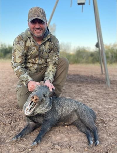 javelina